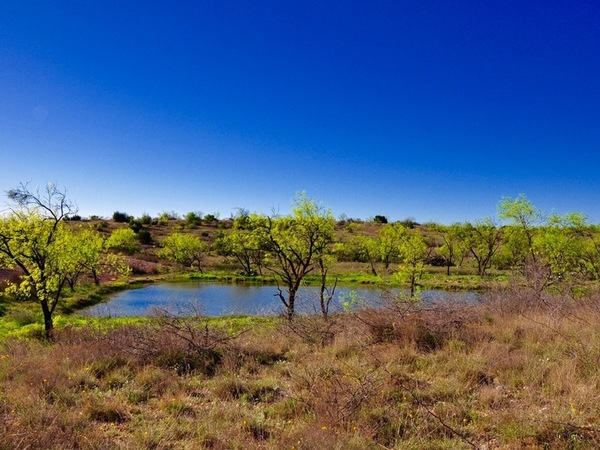 Mesquite Hills Ranch - REDUCED Photo