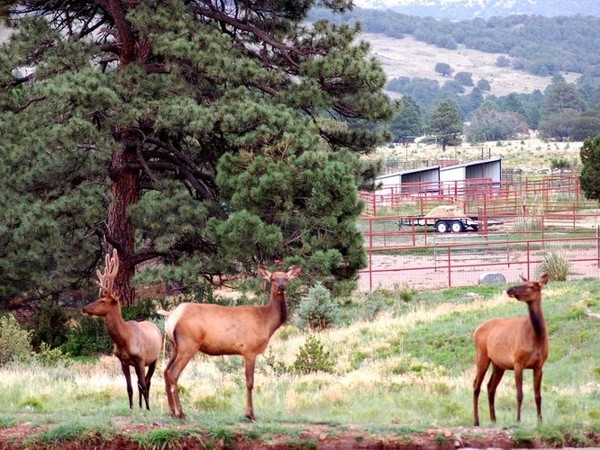 Montaraz Ranch Photo