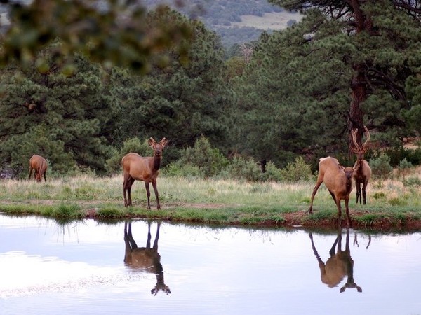 Montaraz Ranch Photo