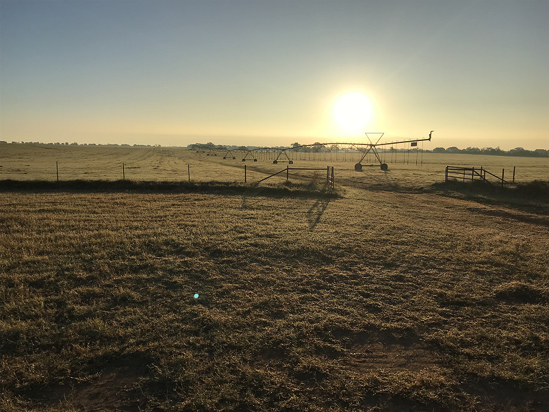 Morris Hay Farm Photo