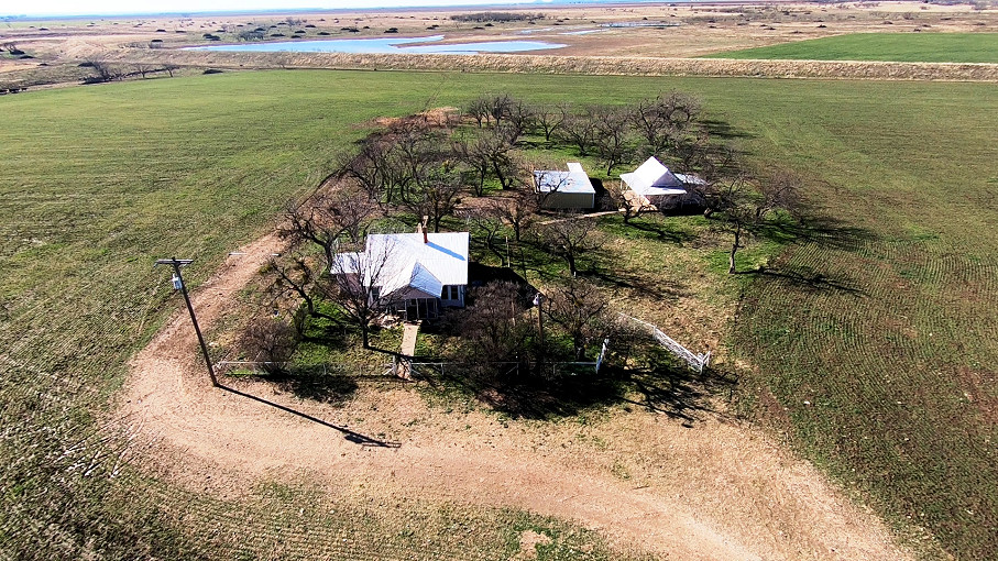 Mustang B Ranch Photo