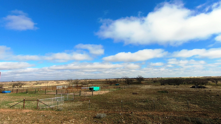 Mustang B Ranch Photo