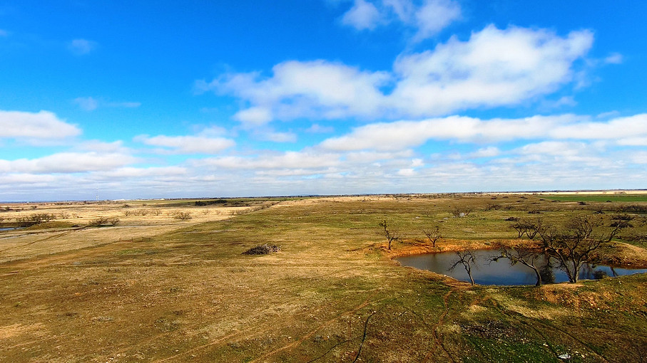 Mustang B Ranch Photo