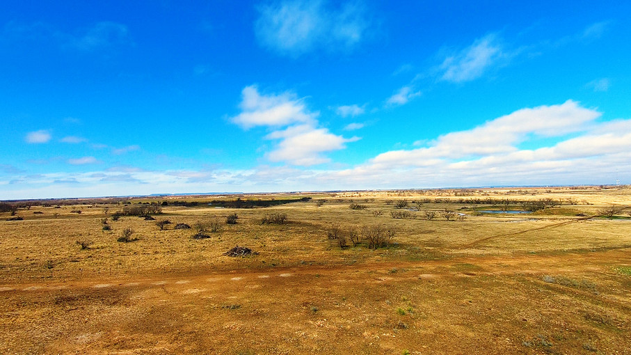 Mustang B Ranch Photo