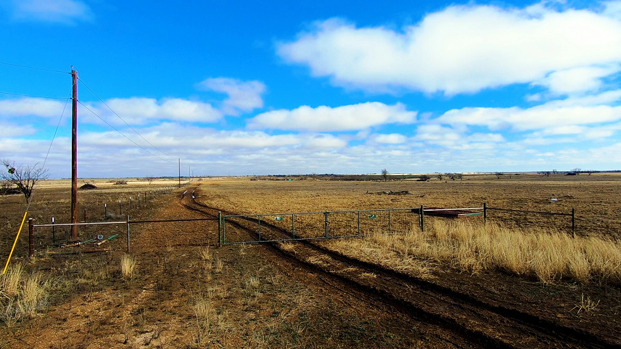 Mustang B Ranch Photo