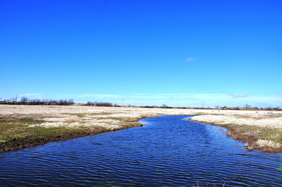 Mustang B Ranch Photo