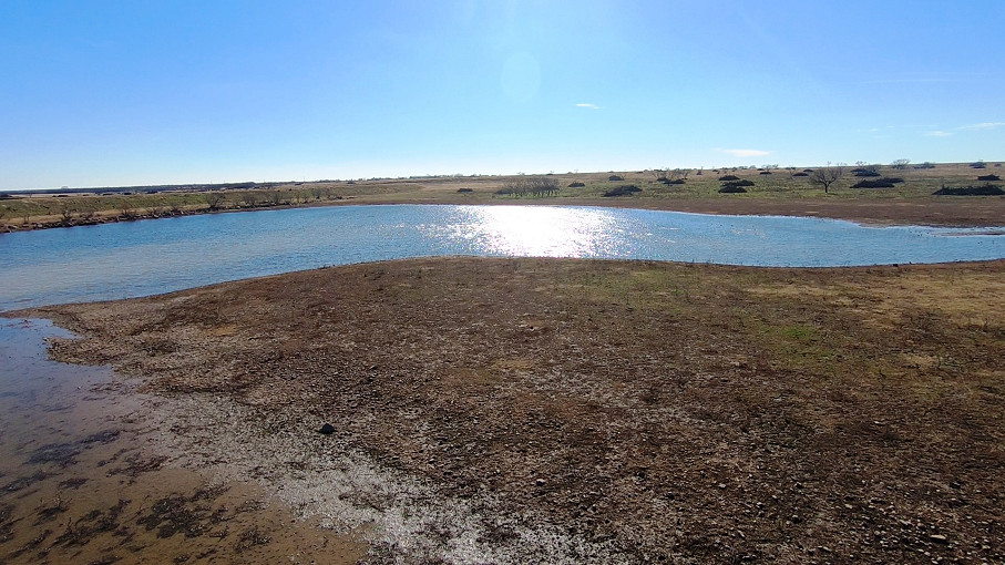 Mustang B Ranch Photo