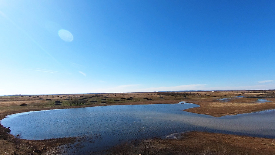 Mustang B Ranch Photo