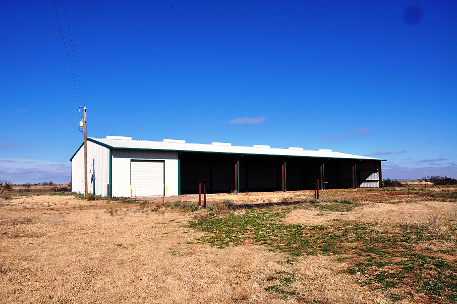 Mustang B Ranch Photo