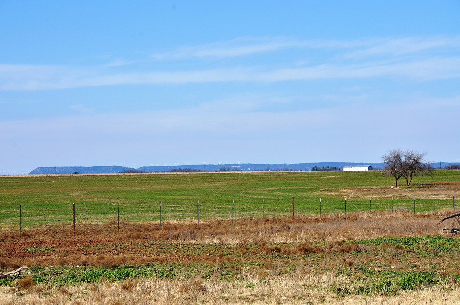 Mustang B Ranch Photo