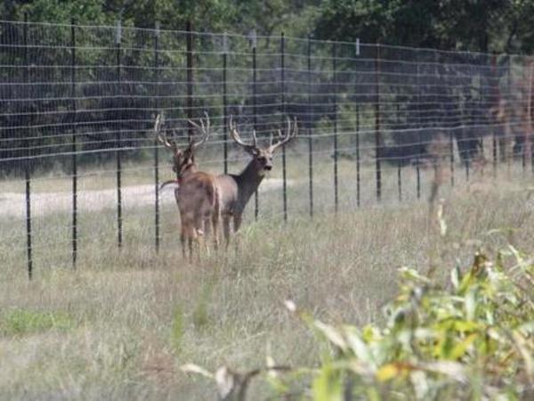 NNNN Ranch Photo