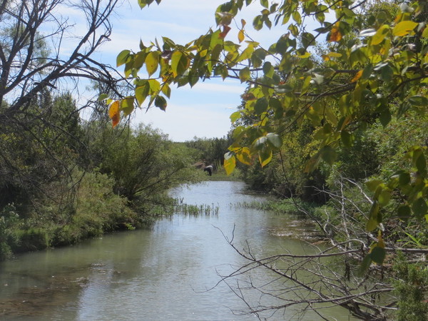 Nolan County Ranch Photo