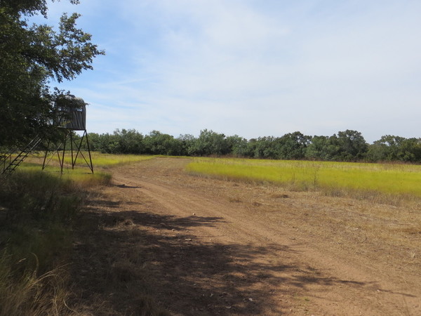 Nolan County Ranch Photo