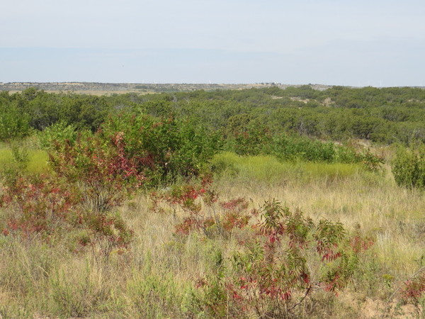 Nolan County Ranch Photo