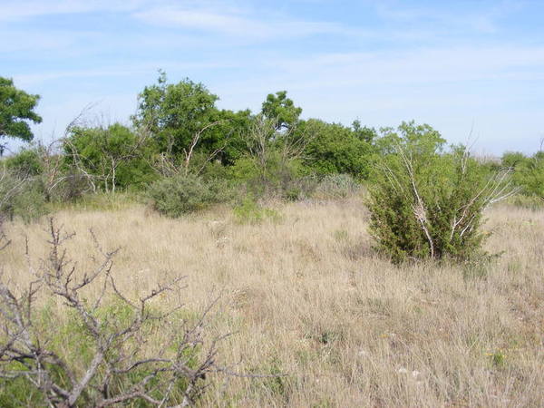 North Sharp Ranch Photo