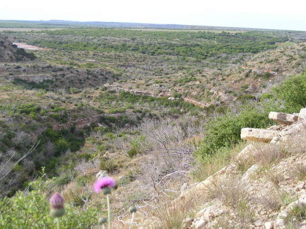 North Sharp Ranch Photo