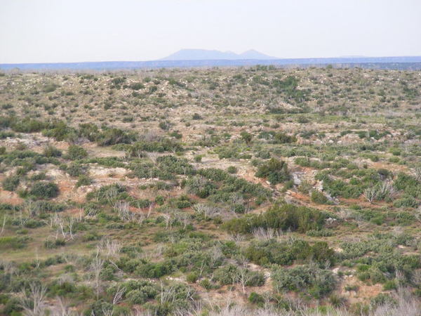 North Sharp Ranch Photo