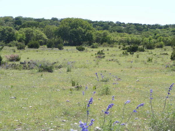 North Steen Ranch Photo