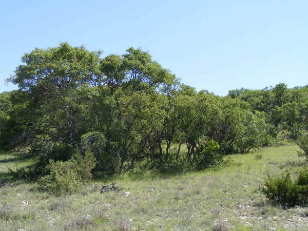 North Steen Ranch Photo