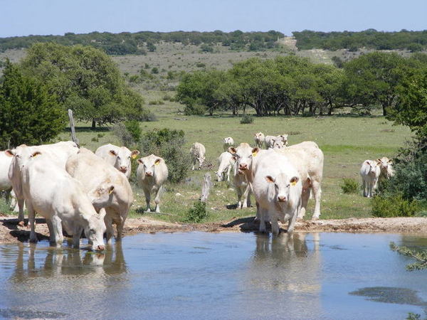 North Steen Ranch Photo