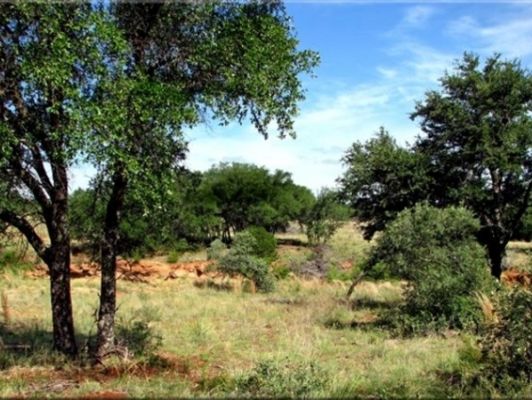 Oak Tree Ranch Photo