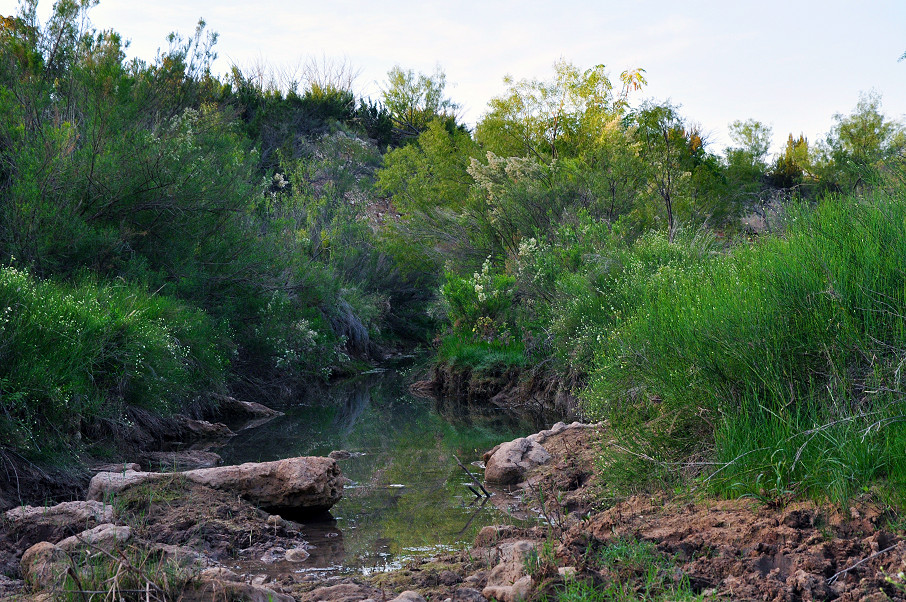 Paint Creek Ranch Photo