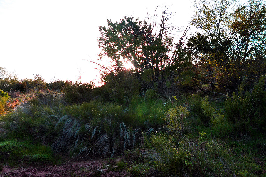 Paint Creek Ranch Photo