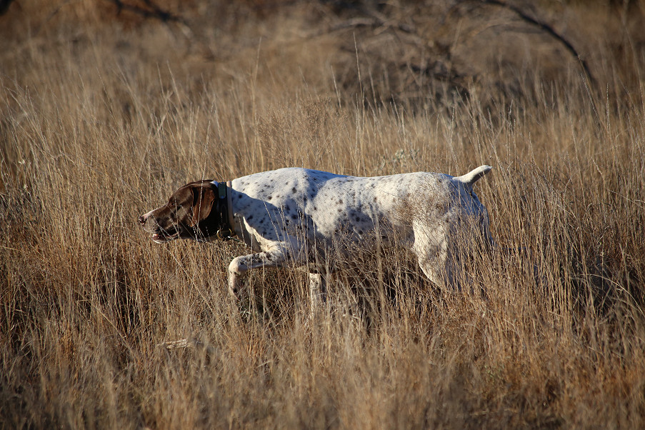 Paint Creek Ranch Photo