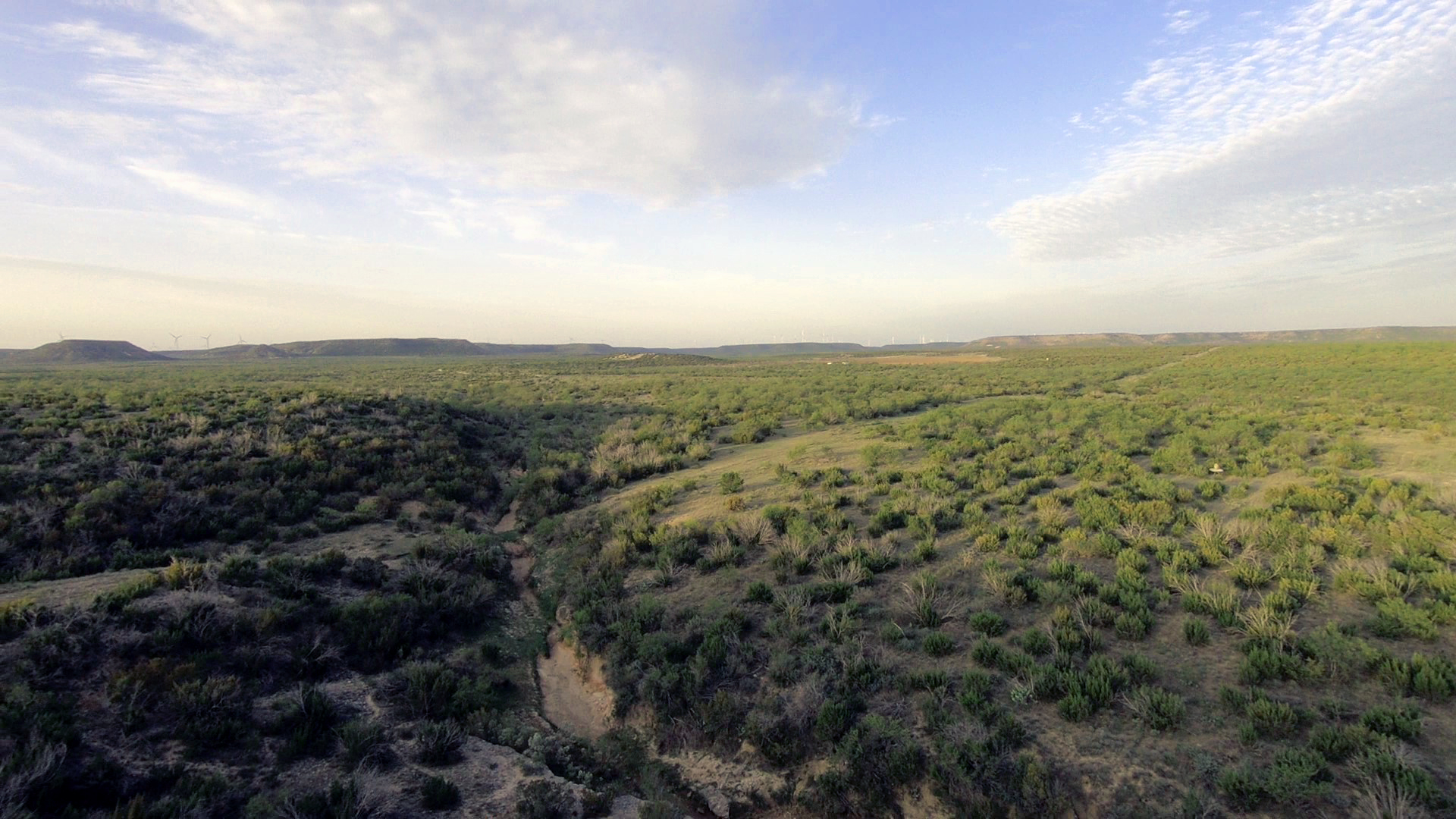 Paint Creek Ranch Lee, Lee & Puckitt Associates, Inc.