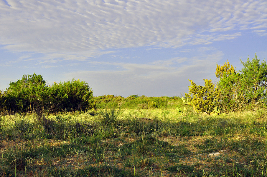 Paint Creek Ranch Photo