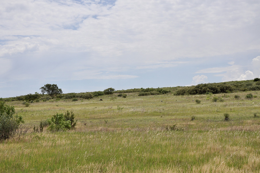 Antelope Springs Ranch Photo