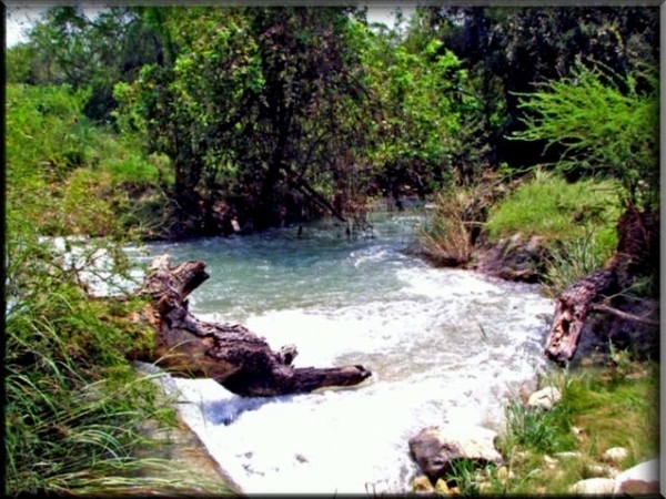 Pinto Creek Ranch Photo