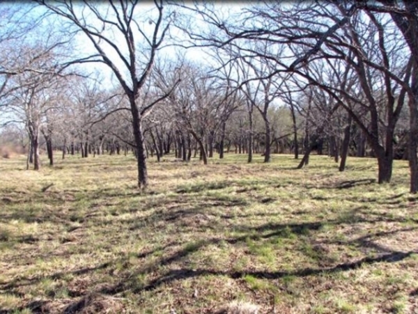 Pinto Creek Ranch Photo