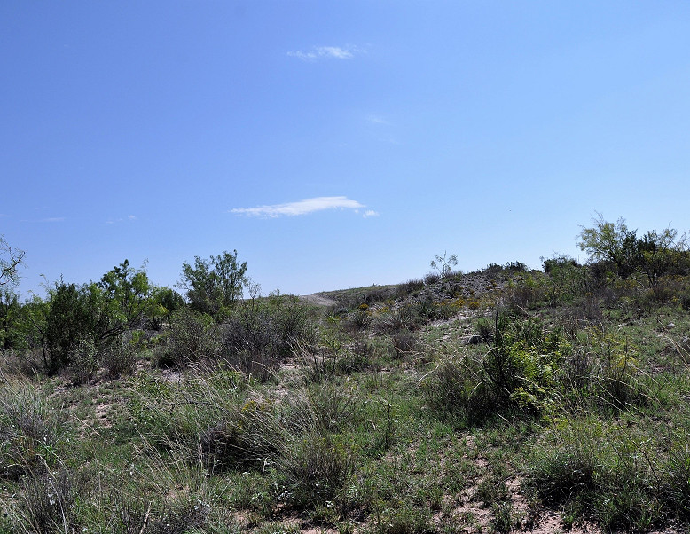 Red Fork Ranch Photo