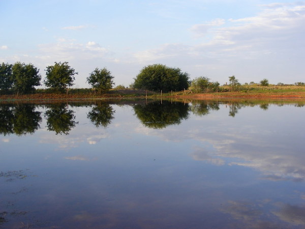 Red Hill Ranch Photo