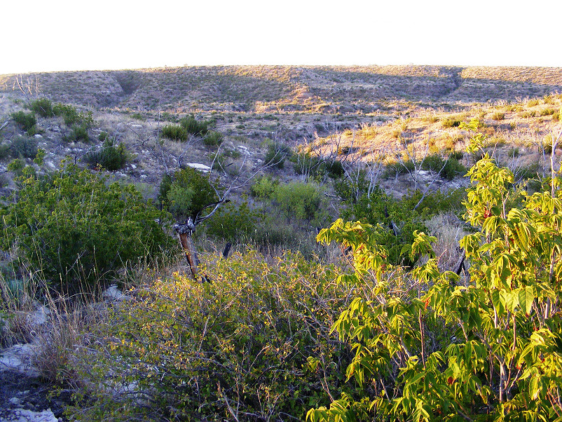 River Lookout Ranch Photo