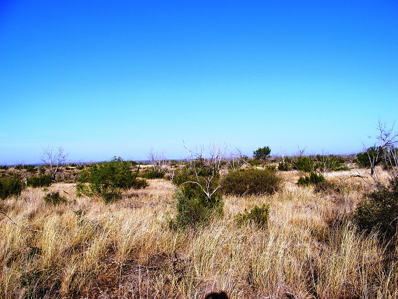 River Lookout Ranch Photo