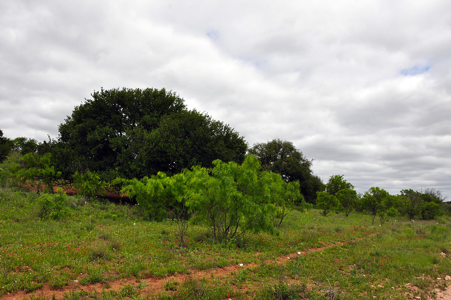 The River Ranch Photo