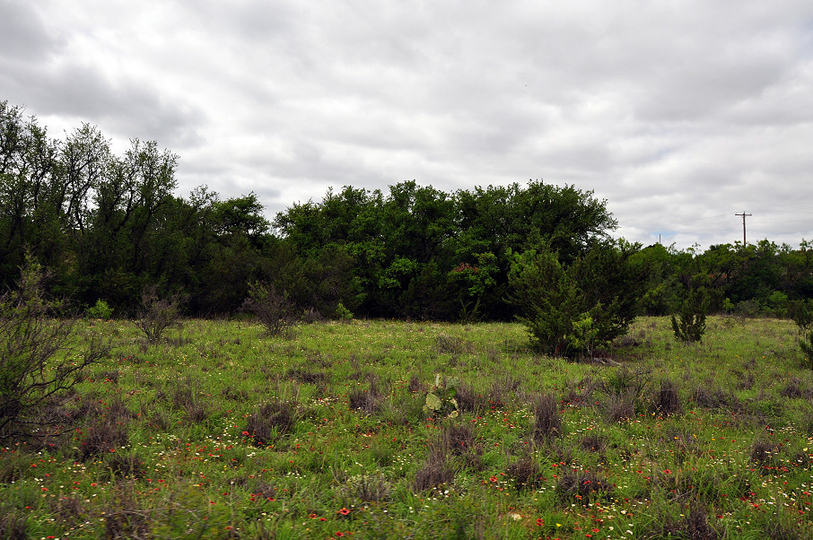 The River Ranch Photo