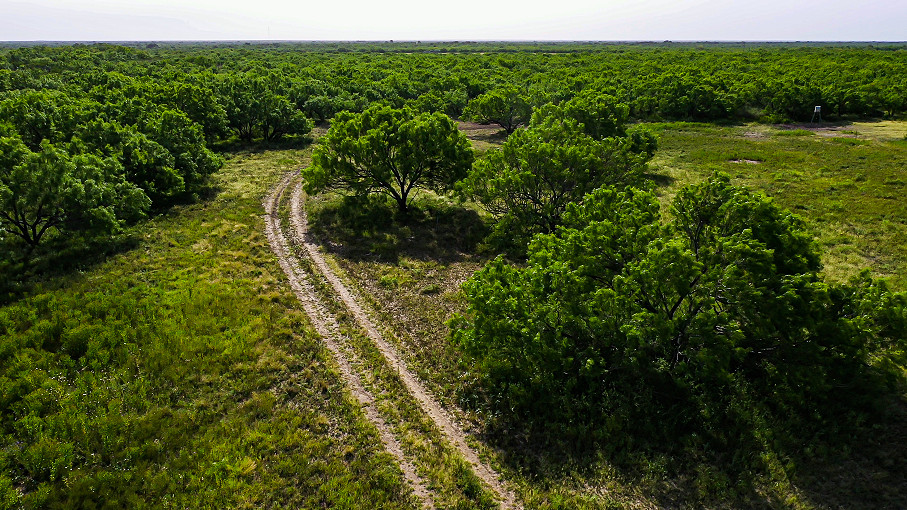 Sims Whitetail Ranch Photo