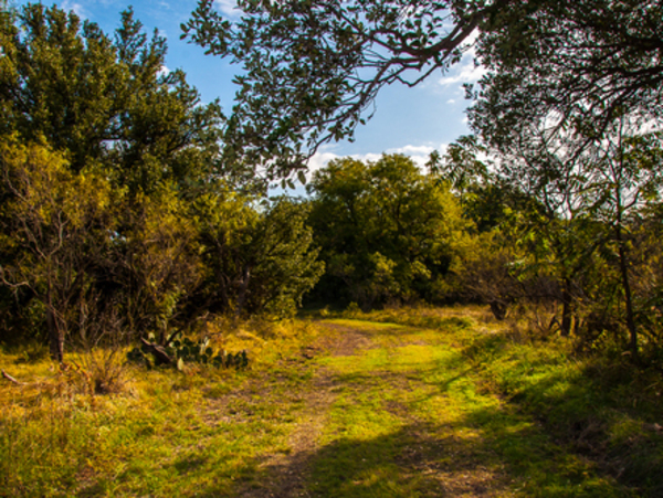 Ruffin Ranch Photo