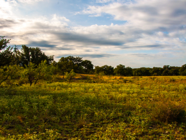 Ruffin Ranch Photo