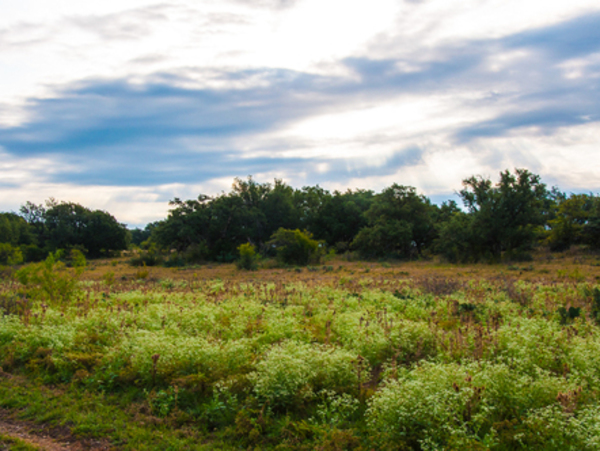 Ruffin Ranch Photo