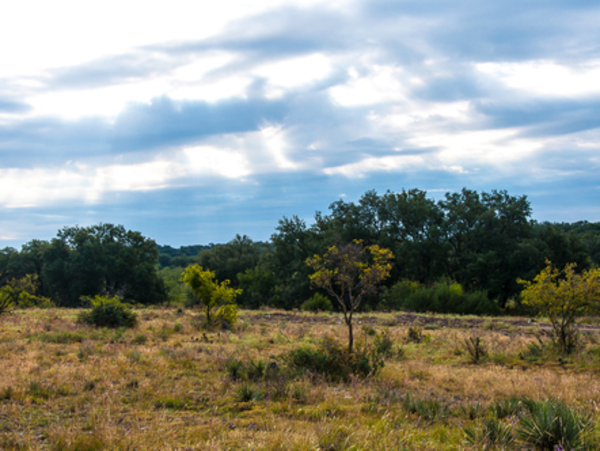 Ruffin Ranch Photo