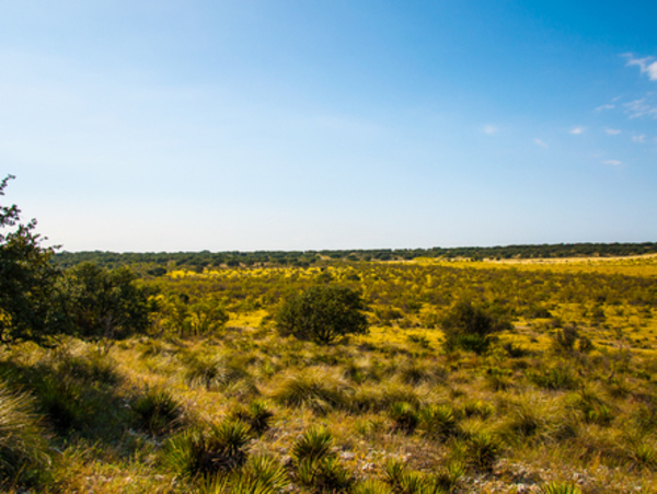 Ruffin Ranch Photo