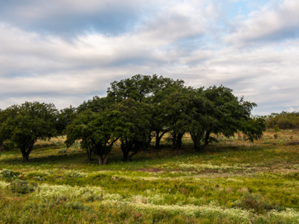 Ruffin Ranch Photo