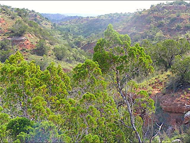 Cooper Mountain Ranch Photo