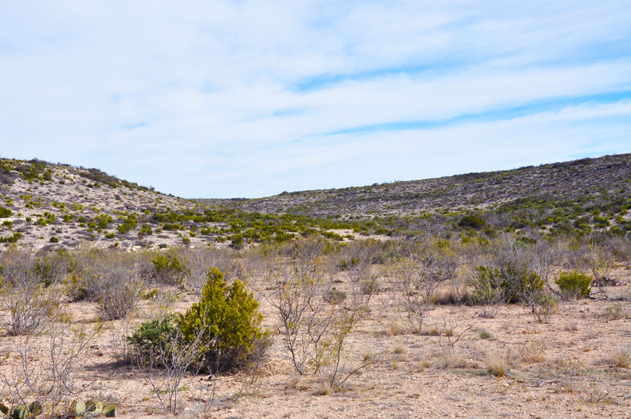 Sheffield Ranch Photo