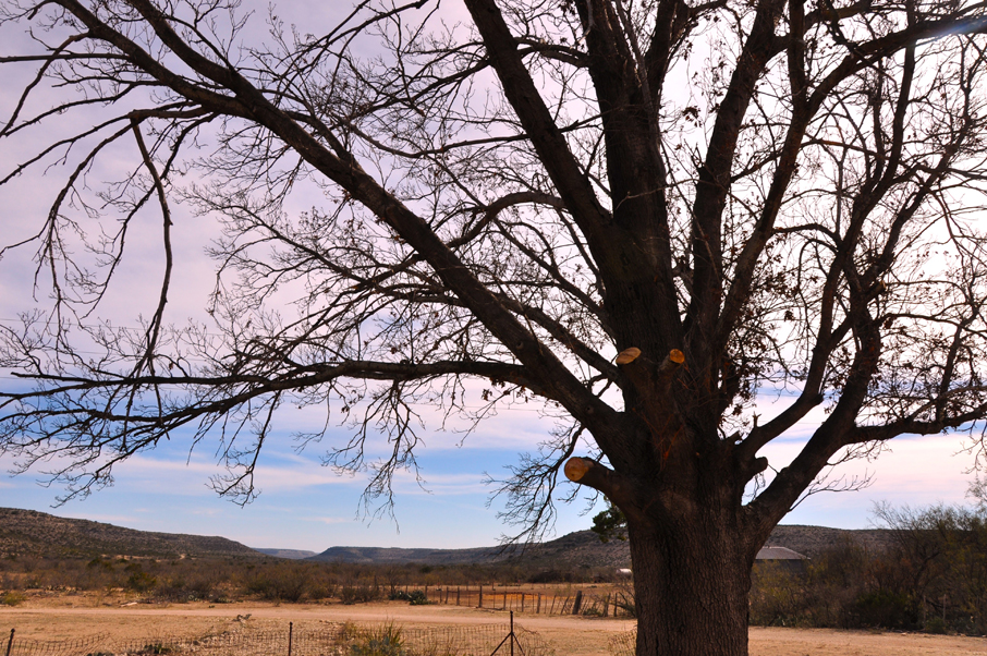 Sheffield Ranch Photo