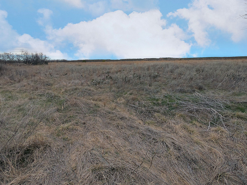 Simpson River Bend Ranch Photo